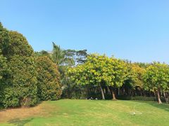 -深圳湾公园(南山区)