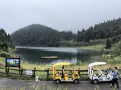 -武陵山森林公园