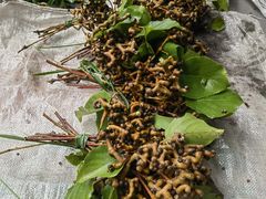 -金堂县云顶石城风景区