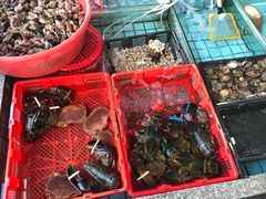 -霞涌市场海鲜摆卖区