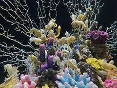 -成都浩海立方海洋公园