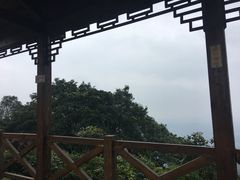 -广州市帽峰山景区