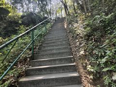 -宁波五龙潭景区