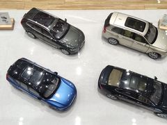 -杭州中沃沃尔沃4S店(滨江区店)