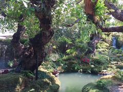 -Chom Cafe and Restaurant