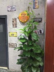 -钉格