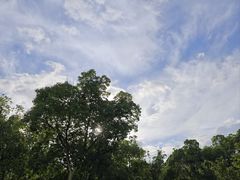 -宁波儿童公园(鄞州区)