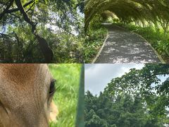 -广西壮族自治区药用植物园