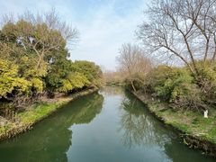 -西溪国家湿地公园