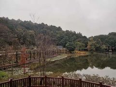 -广州市石门国家森林公园