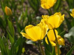 -长春公园(普阳街道)