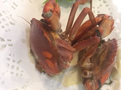 -友强·23年特色海鲜大排档(厦门店)
