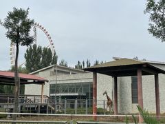 -石家庄市动物园