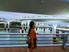 -演武大桥观景平台