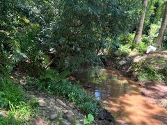 -滴水岩森林公园
