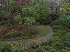 -上海滨江森林公园