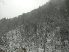 -秦岭服务区餐厅(京昆高速店)