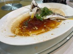 -有腥气私房菜·寻味顺德