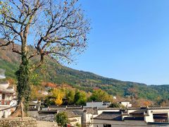 -塔川景区