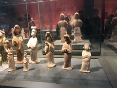 -陕西自然博物馆