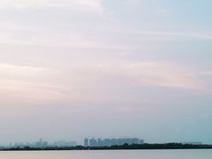 -瑶湖郊野森林公园