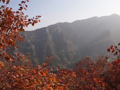 -周口店坡峰岭风景区