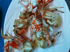 -瑞德姆美人鱼海底演艺主题餐厅(亚龙湾店)