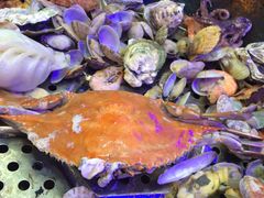 -船梆煮•蒸汽海鲜·炉火烤肉(五四广场店)