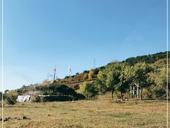 -御道口草原森林风景区