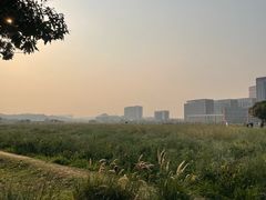 -光明小镇欢乐田园