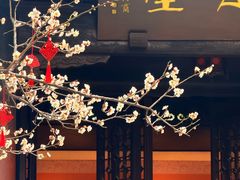 -钱王祠