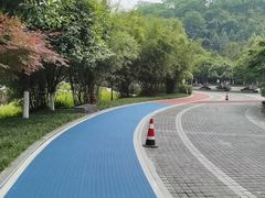 -龙头寺公园