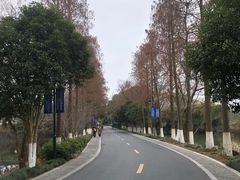 -西溪国家湿地公园