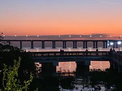 -宝安西湾红树林湿地公园