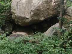 -大岭沟猕猴桃谷风景区