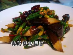 青瓜拌鸡枞菌-大树餐厅(红旗街万达店)