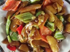 -草根堂农场