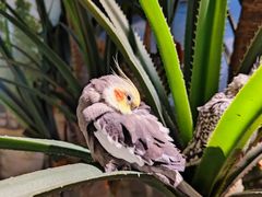 -正佳雨林生态植物园
