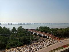 -宝安西湾红树林湿地公园