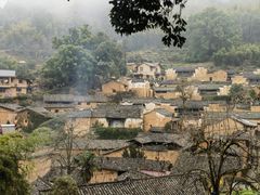 -杨家堂村