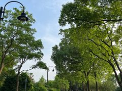 -东湖落雁景区