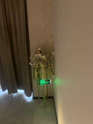 -恒美雅轩·品牌直营连锁