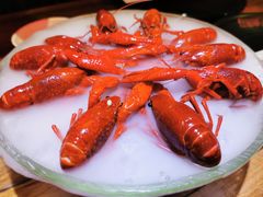 -红盔甲·小龙虾(人民广场店)