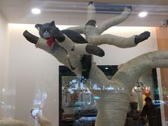 -袖虎·猫馆(体育西路店)