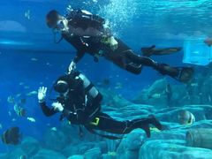 -福州罗源湾海洋世界旅游区