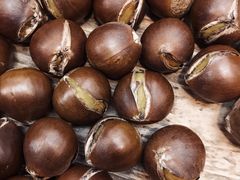 -阿男野栗王(金门路店)