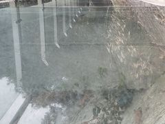 -九龙江国家森林公园