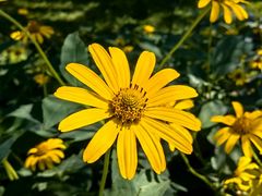 -北京植物园-展览温室