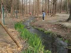 -白水寺森林公园