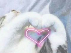 -天空之城动漫电玩世界(路劲又一城店)